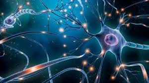 Künstliches Neuronales Netz