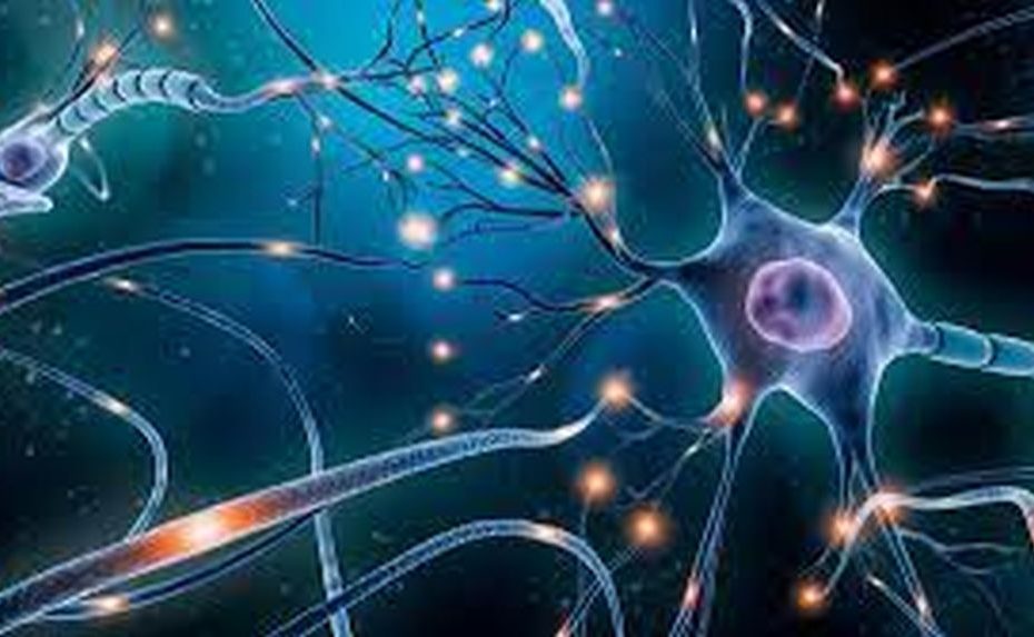Künstliches Neuronales Netz
